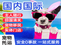 大庆空运代理国际宠物托运 【国
